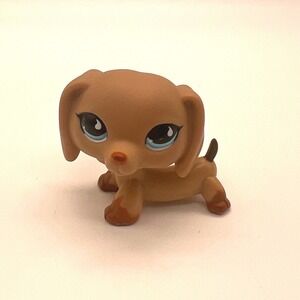 Hasbro Littlest Pet Shop Dachshund 518 Sporty Tear Drop Eyes Authentic LPS